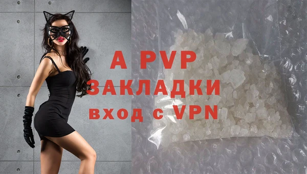 твердый Алзамай