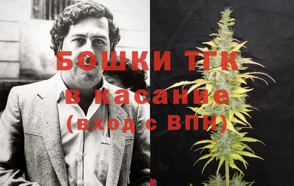 бошки Алексин